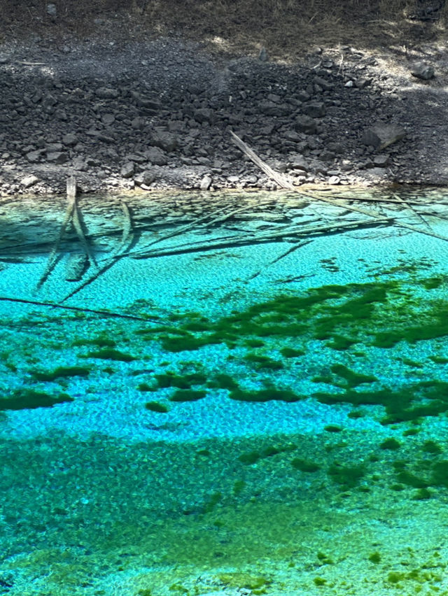 Five-Color Pond:Jiuzhaigou’s Liquid Kaleidoscope 