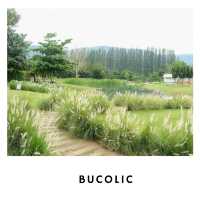 🌳 Bucolic Cafe เขาใหญ่ – คาเฟ่แนวธรรมชาติ