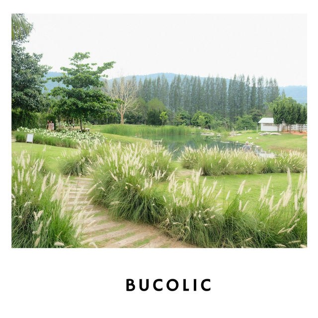 🌳 Bucolic Cafe เขาใหญ่ – คาเฟ่แนวธรรมชาติ