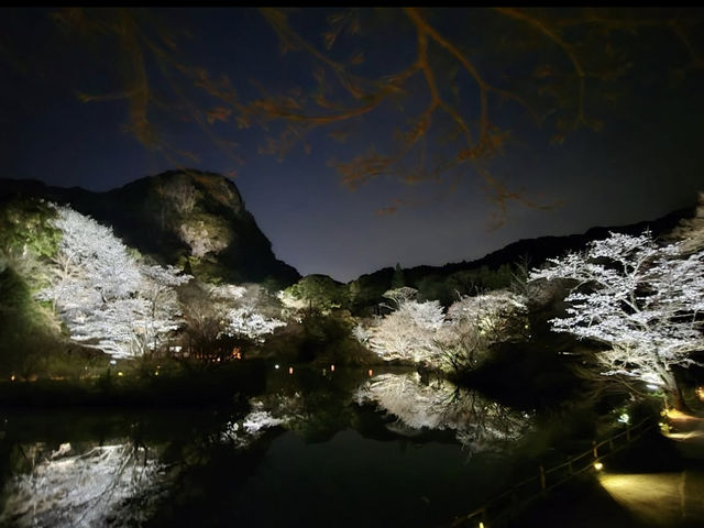 【御船山楽園】四季が彩る幻想庭園で、心ほどけるひととき🌸🍁🌌