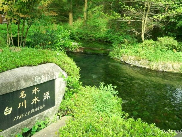 【熊本】池の水がそのまま飲める！澄み切った美しい水「白川水源」