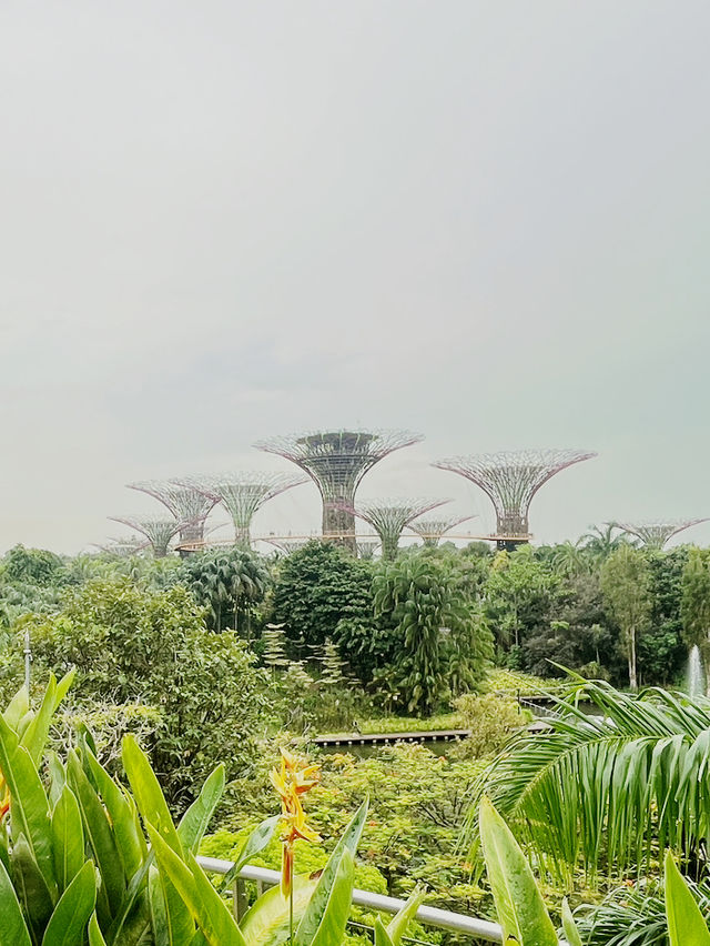 🌿 Gardens by the Bay — Daylight Dreamscape in the Heart of the Bay