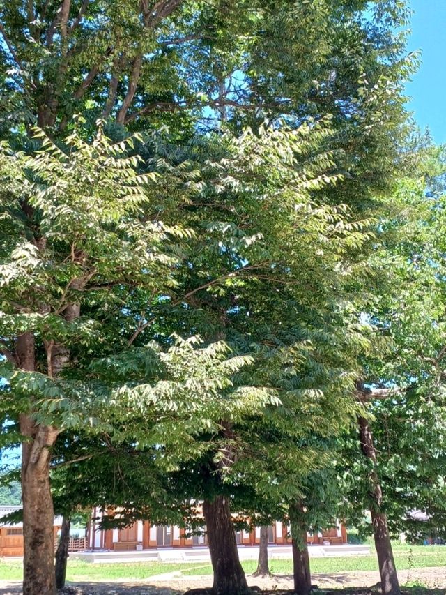 조용한 여유