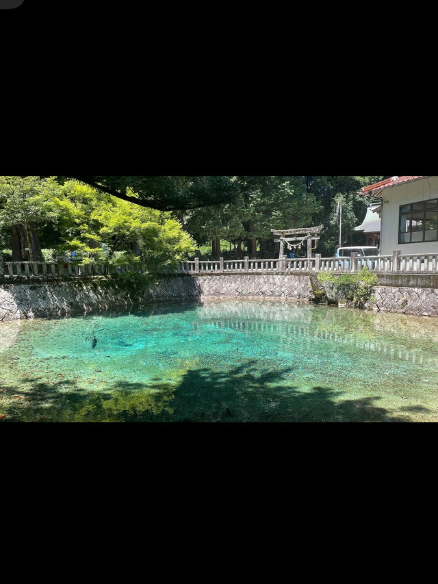 💧別府弁天池｜吸い込まれそうな青！神秘の湧水池で心を浄化する旅