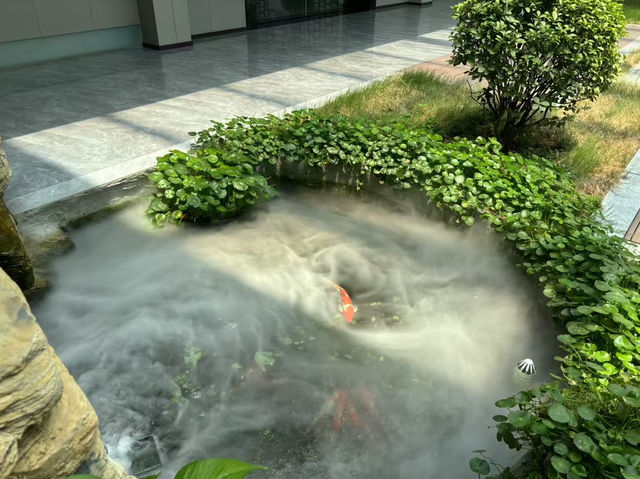 河南駐馬店市