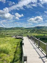 Hohhot Horizons: Tradition, Culture, and Endless Skies