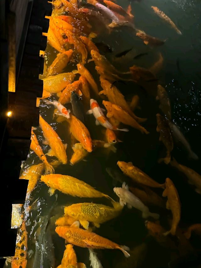 Wuzhen: Where Tradition Meets Today