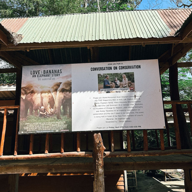 ป้อนอาหารช้าง ปางช้างไทรโยค จังหวัดกาญจนบุรี 🐘