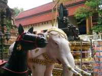 ไหว้กู่พ่อขุนเม็งราย วัดดอยงำเมือง
