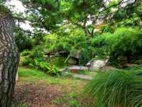 Gyeongju Gyochon Traditional Village: A Glimpse of Old Korea