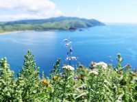 滿山花香 走一趟「花之浮島」
