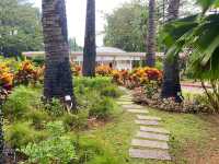 Laman Bromeliad at Taman Botani Putrajaya – A Tropical Gem in the Heart of Malaysia’s Botanical Gard