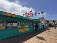 미스터트롯3 TOP7과 함께한 환상의 크루즈 여행, 카탈리나 섬과 엔세나다에서 선상 갈라쇼까지!