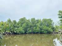 Where Nature Meets Serenity – Pulau Kerengga