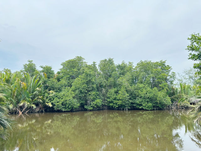 Where Nature Meets Serenity – Pulau Kerengga