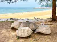 Pantai Teluk Lipat – Dungun’s Coastal Beauty