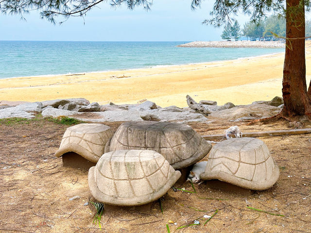Pantai Teluk Lipat – Dungun’s Coastal Beauty