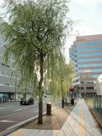新潟 無法形容的美麗城市
