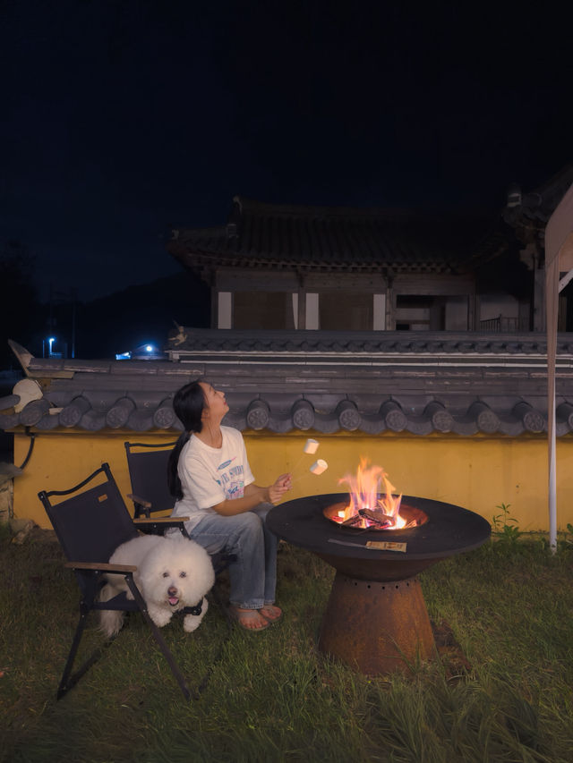 반려견 동반한 커플여행 가족여행 모두 추천하는 양평 한옥 펜션 💕 반려견 동반한 커플여행 가족여행 모두 추천하는 양평 한옥 펜션 💕