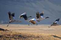 •	8 Days Bhutan Nature & Culture Tour