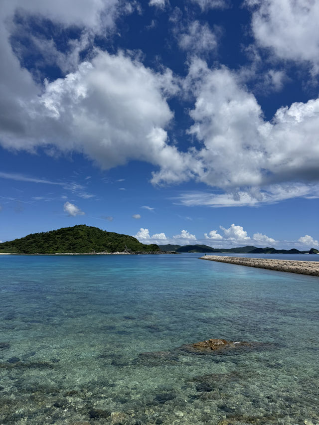 【沖縄・慶留間島】手つかずの自然に癒される小さな楽園🏝️🌿 【沖縄・慶留間島】手つかずの自然に癒される小さな楽園🏝️🌿