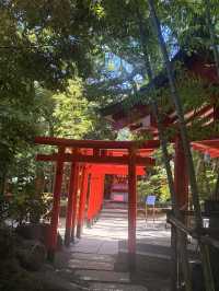 熱海｜隱身在樹林中來宮神社 繞神木一圈能延命一年傳說