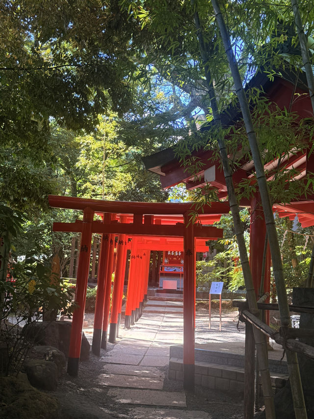 熱海｜隱身在樹林中來宮神社 繞神木一圈能延命一年傳說