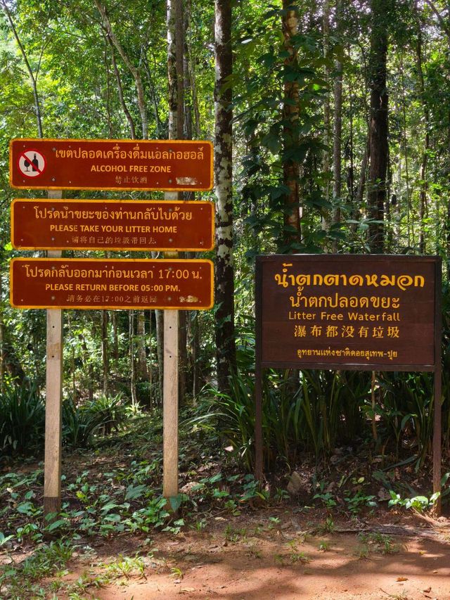 น้ำตกตาดหมอก (แม่ริม เชียงใหม่) 🏞️