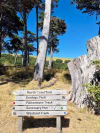 Revolving Around the Beauty of Nature: Trails – New Zealand 