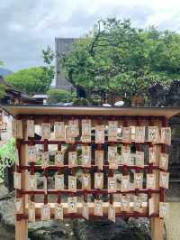 Dazaifu-tenmangu Shrine ศาลเจ้าชื่อดังในฟุกุโอกะ
