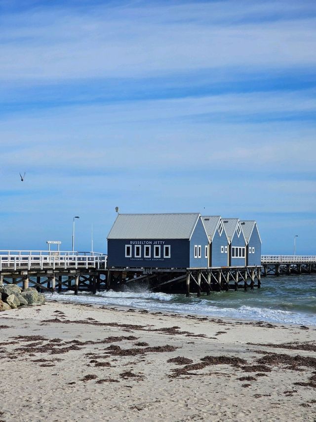 Busselton Jetty: Perth’s Epic Waterfront Adventure 🚂🌊