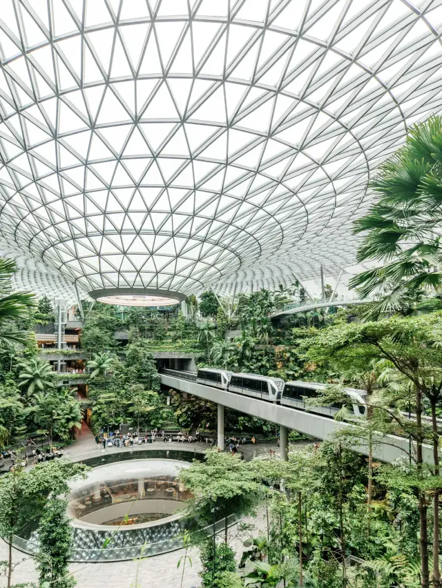 新加坡星耀樟宜的奇幻森林機場🌳