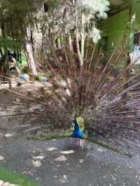 🌿 Park Hopping for Peace in Dushanbe