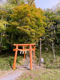🍁🛶【紅葉湖畔小冒險】阿寒湖秋天親子賞楓