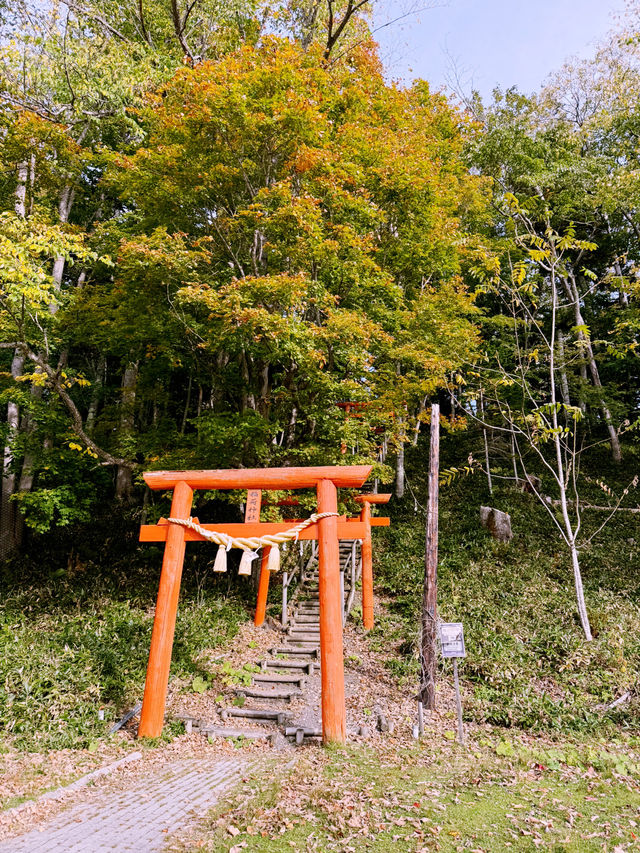 🍁🛶【紅葉湖畔小冒險】阿寒湖秋天親子賞楓 🍁🛶【紅葉湖畔小冒險】阿寒湖秋天親子賞楓