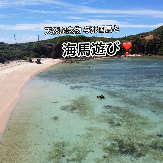 日本の果てまで行って来た! 日本の果てまで行って来た!