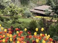 Araluen Botanic Park