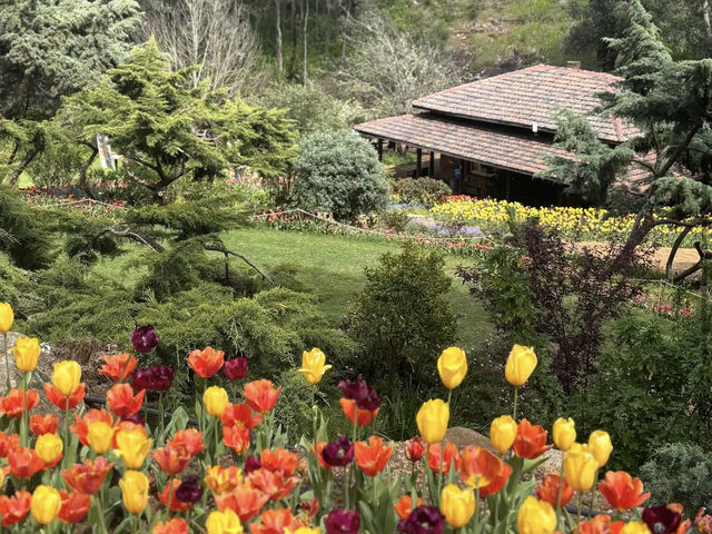 Araluen Botanic Park