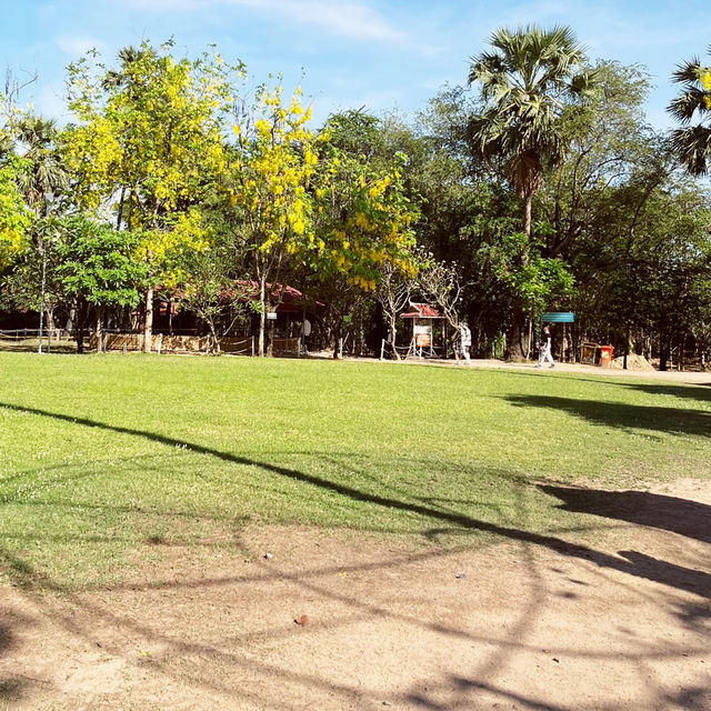 🕊️ Tuol Sleng Genocide Museum: Where a Mother’s Tears Meet a Thousand Prayers for Peace 🕯️