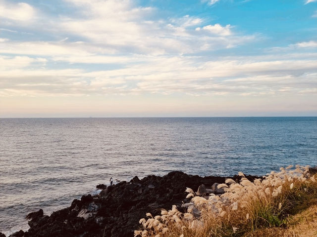 Where Green Lawns Meet the Rugged Sea