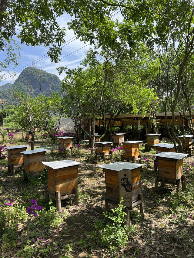 🌄 Guilin & Yangshuo — China’s postcard come to life 🇨🇳✨