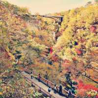 A Palette of Fire and Stone: My Solo Hike Through Naruko Gorge, Miyagi