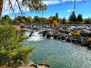 🐎 西奧多·羅斯福國家公園－荒地呼吸狂野自由的地方