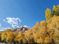 Autumn View from the Ancient City