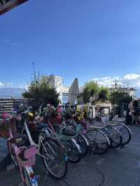 Erhai Lake Loop🚲