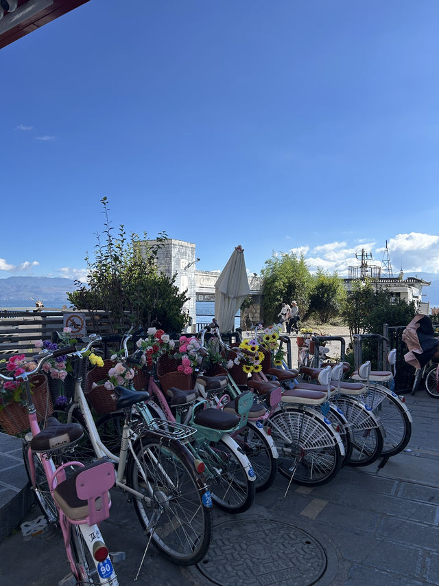 Erhai Lake Loop🚲