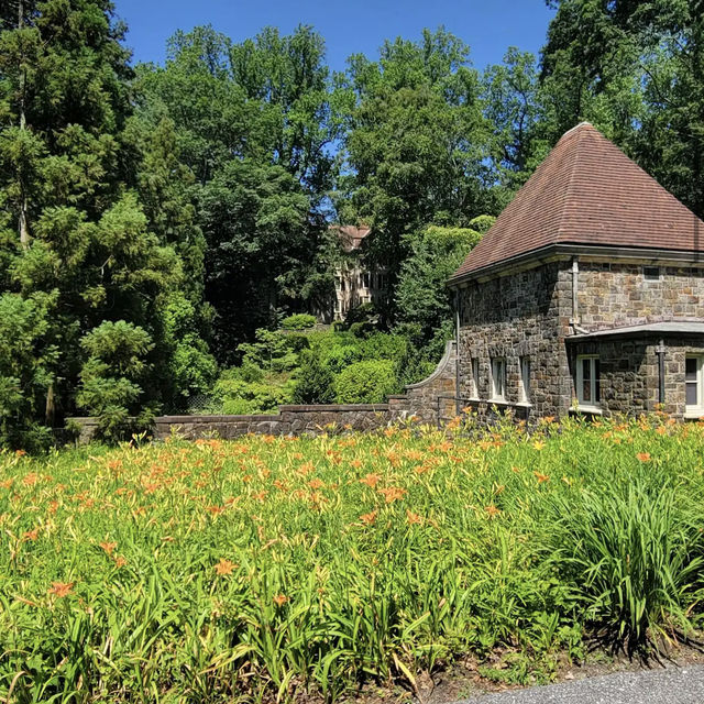 Winterthur Museum, Garden & Library