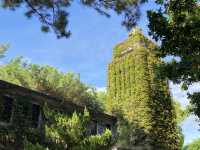 新城 天主堂 鳥居與十字架 並存