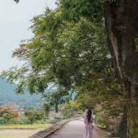 천천히 성길 오르고, 감나무 앞에서 가을 사진 한 컷