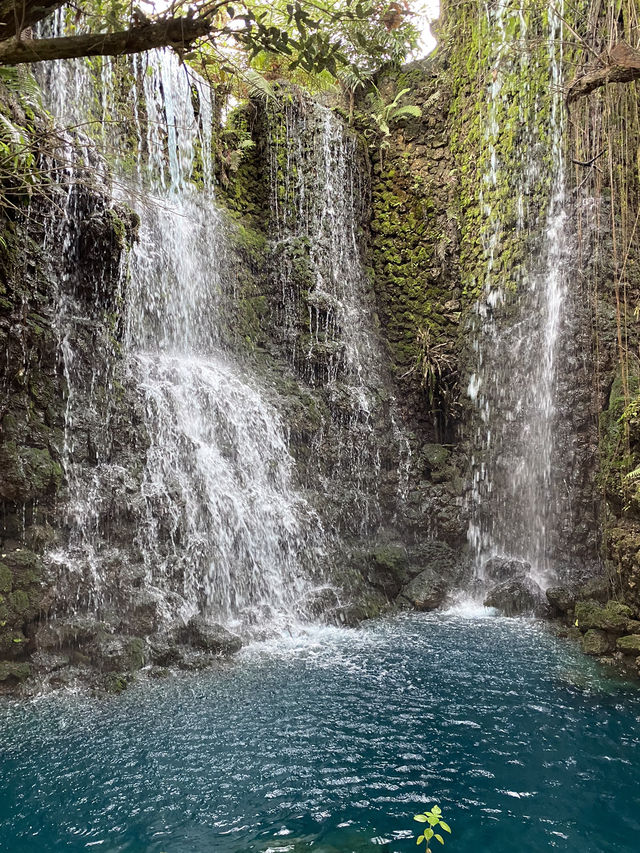 🌿 เปิดวาร์ป “แดนเทวดา” คาเฟ่ที่เล่นใหญ่ที่สุดดดดด 🌿 เปิดวาร์ป “แดนเทวดา” คาเฟ่ที่เล่นใหญ่ที่สุดดดดด